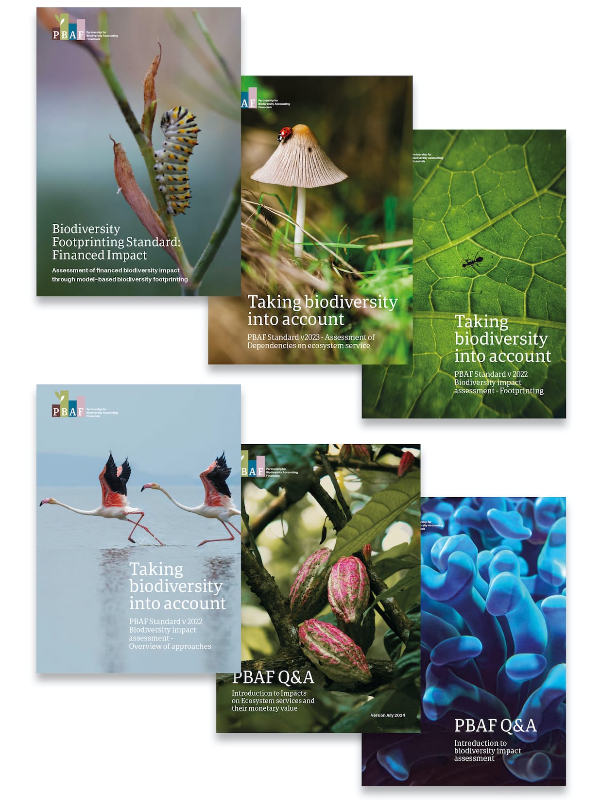 4 PBAF Document covers