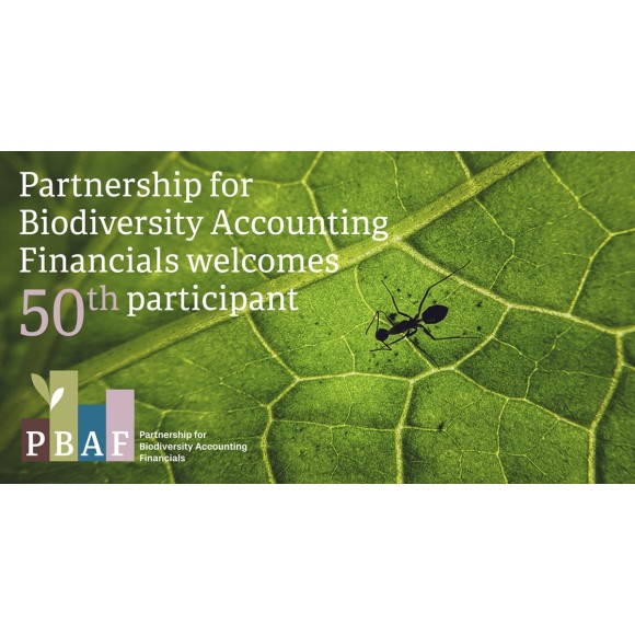 Partnership for Biodiversity Accounting Financials (PBAF) welcomes 50th participant